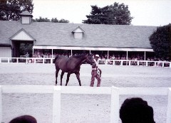 Kentucky Horse Park